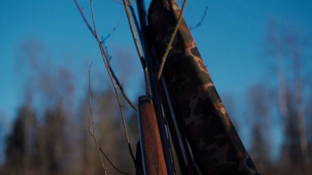 Вальдшнеп. Охота на носатого. смотреть онлайн