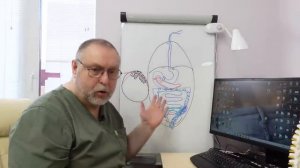 Основная причина Синдрома раздраженного кишечника