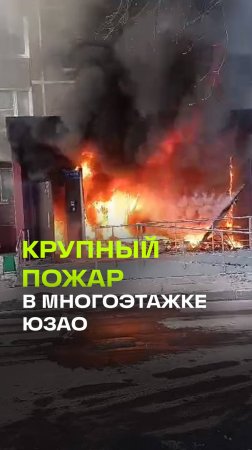 Пожар в жилом доме на юго-западе Москвы: загорелась квартира на первом этаже