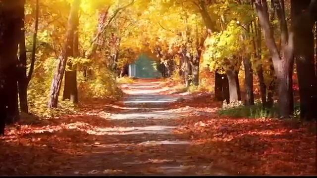 Música Relajante - MUSICA TIBETANA PARA DORMIR Y DESCANSAR  with Binaural beats