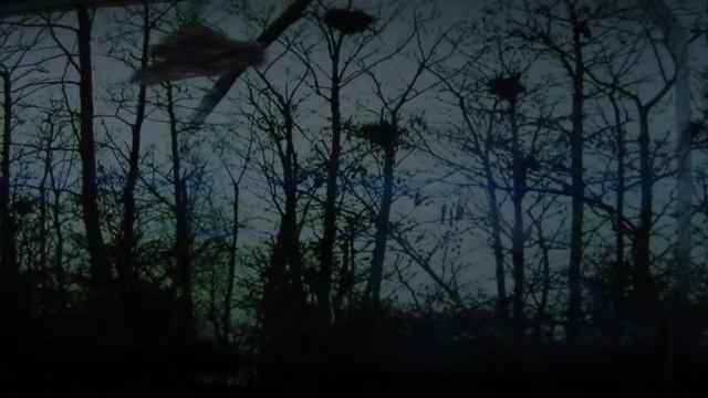 Відео інсталяція картин Івана Марчука (уривок "Плине кача " Піккардійська терція) м.Київ Artarea смотреть онлайн