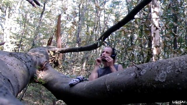 Acoustic Trance - Варганное погружение в лес - 2020-09 смотреть онлайн