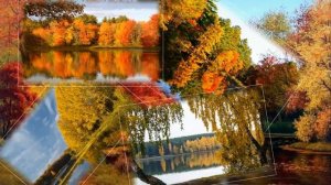 Жёлтые листья-П.Соколов