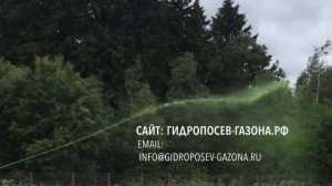 Результат после Гидропосева Газона через год - входы газона на Даче