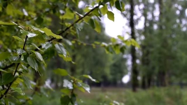 КОГДА ВДАЛИ ЕСТЬ КТО-ТО МИЛЫЙ ", ПЕСНЯ В ИСПОЛНЕНИИ ОЛЕГА ВЕТОШЕВА. смотреть онлайн