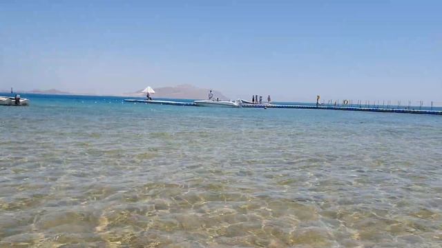 Лeна LIFE \ Лена и Ваня LIFE \ Вот именно из-за этого и смотрят Ленку! \ Обзор влогов