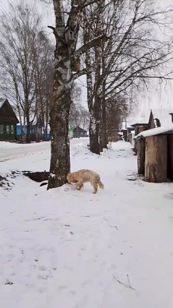 фигуры из дерева
