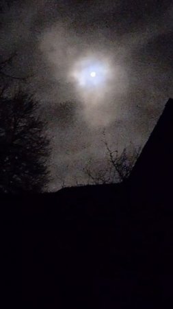 Ночь, луна. Сторонка Родная