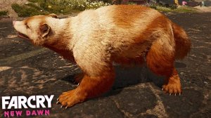 РОСОМАХА РАЗОДРАЛА РЕЙДЕРА В ФАР КРАЙ НОВЫЙ РАССВЕТ | ПРОХОЖДЕНИЕ FAR CRY NEW DAWN БЕЗ КОММЕНТАРИЕВ