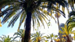 Абхазия.Старая ГАГРА.12 апреля 2024г.