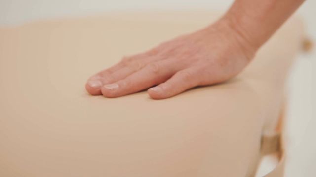 Массажный складной стол Mizomed Premium Pro 2