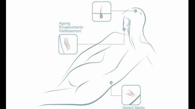 Mesotherapy Ingredients - Mesoceuticals by Institute BCN