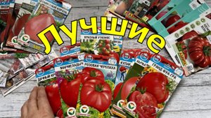 ТОМАТЫ. Сорта Сибирского cада, УРОЖАЙНЫЕ И ВКУСНЫЕ
