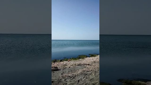 #рекомендации #рыбалка #азербайджан смотреть онлайн