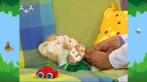 Утро в Шишкином Лесу. Доктор. Ленивый Коксик