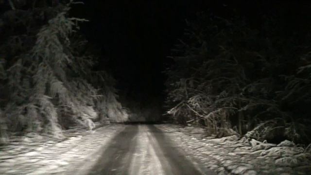 Дорога через осенне-зимний Слободской лес [Рославлево] [2017-11-04] смотреть онлайн