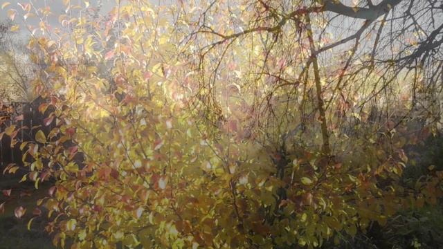 Анна Герман Последняя встреча - Прощание с Диево смотреть онлайн