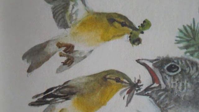 кукушка смотреть онлайн