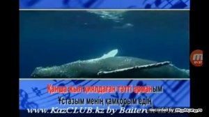Ұстазым караоке плюс
