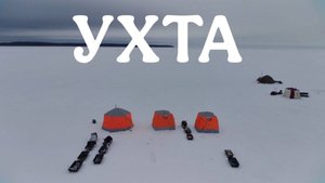 Дикий клёв наваги, Рыбалка в Ухте