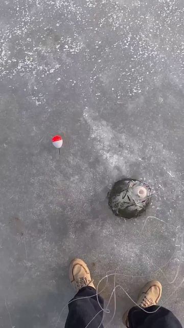 Хапуга смотреть онлайн