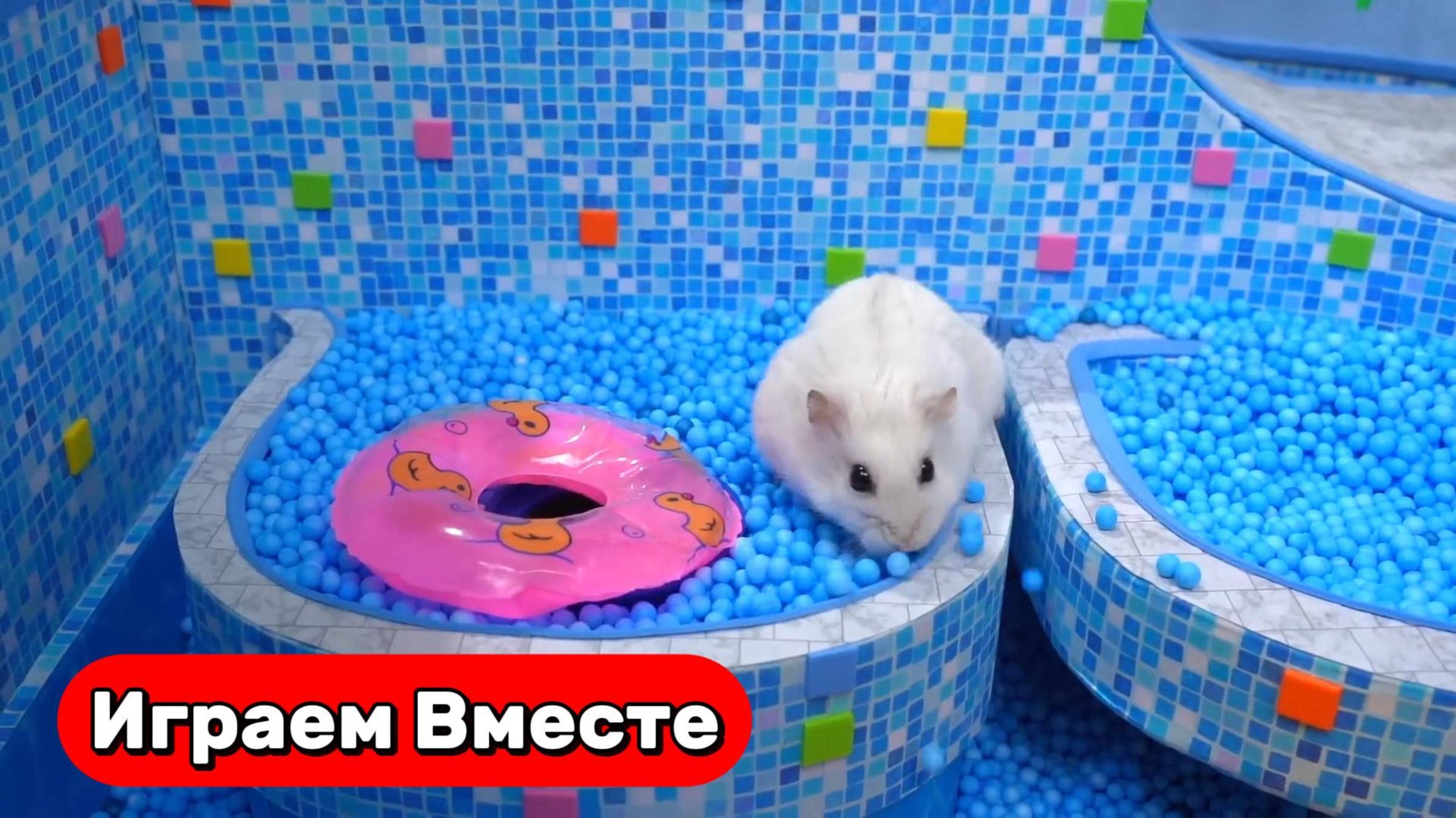 Хомяк катается на АМЕРИКАНСКИХ ГОРКАХ и ВОДНЫХ АТРАКЦИОНАХ ! Видео для детей