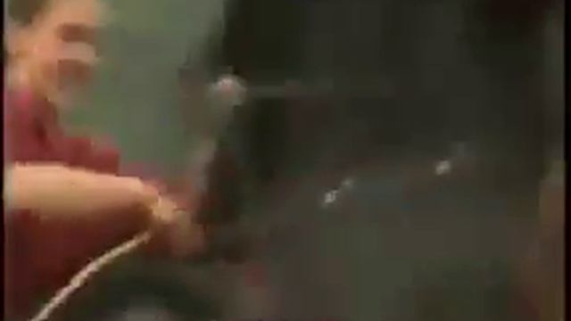 Дрессировка лошадей смотреть онлайн