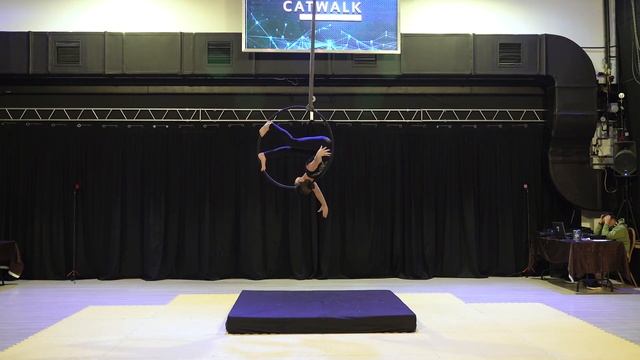Кулик Виктория - Catwalk Dance Fest [pole dance, aerial] 26.11.2022г. смотреть онлайн