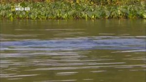 Фредерик Шопен, лучшее  , Frédéric Chopin, the best