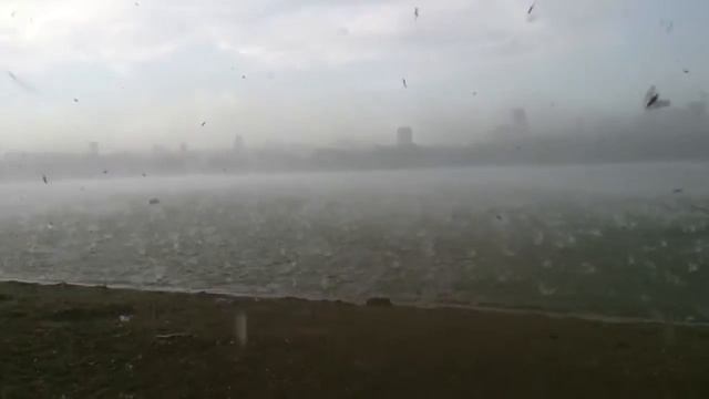 Град на пляже в Новосибирске...