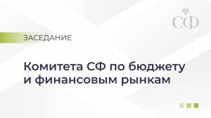 Заседание Комитета Совета Федерации по бюджету и финансовым рынкам