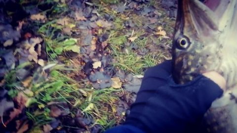 Зимняя рыбалка.