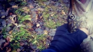 Зимняя рыбалка.