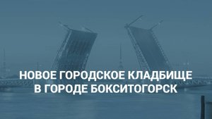 Новое городское кладбище в г. Бокситогорск