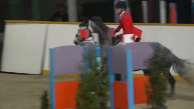 Bassie ( Indorado x Kojak) смотреть онлайн