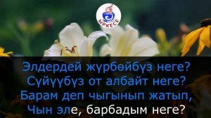 Кыргызча минусовка караоке АЛДАБА (Бек Борбиев) тексти менен