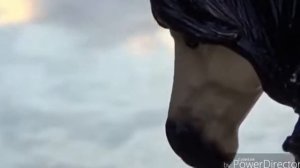 Клип лошади Шляйх   демон  мне сериал