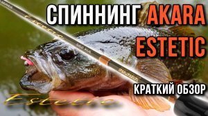 Спиннинг Akara Estetic. Краткий обзор.