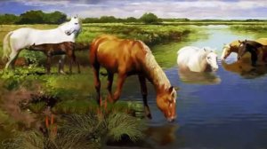 Футаж лошади