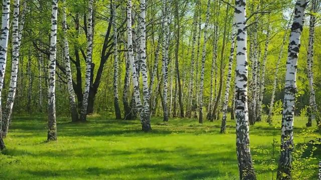 СВЕТЛЫЙ ЛЕТНИЙ ДЕНЬ ИСП ИОАНН БЕРЕСЛАВСКИЙ смотреть онлайн