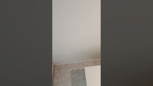 Натяжной потолок на кухне, в квартире с газовой плитой, почему нет.