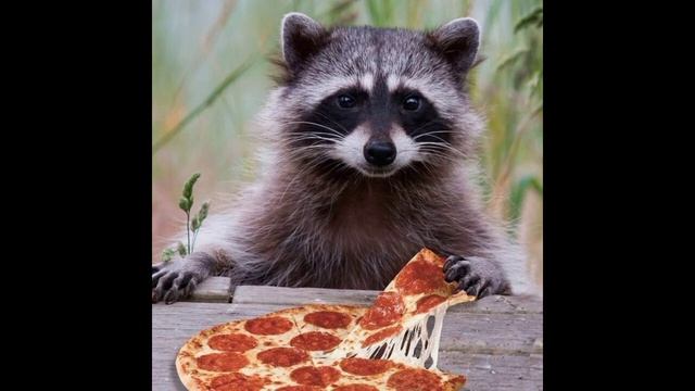 берегите животных смотреть онлайн