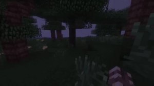 😱 Майнкрафт но ЖИЗНЬ РУНИ!