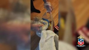 Полиция Алтайского края задержала троих приятелей за попытку сбыта более 6 кг наркотиков в 4 региона