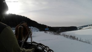 60е папино ДР, 21.02.2025. Замечательная конно-санная поездка к скале Синий Камень.