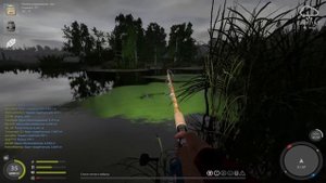 Где и как НОВИЧКУ ловить КАРПА ? ● Русская Рыбалка 4 | РР4