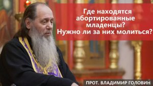 Где находятся абортированные младенцы? Нужно ли за них молиться?