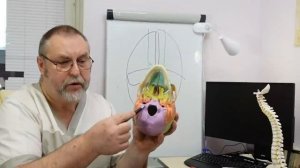 Хронический панкреатит можно вылечить.