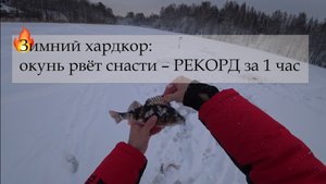 Зимний хардкор: окунь рвёт снасти – РЕКОРД за 1 час