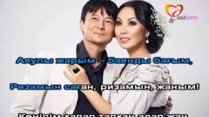 Каракат   Ризамын саган караоке, казакша караоке